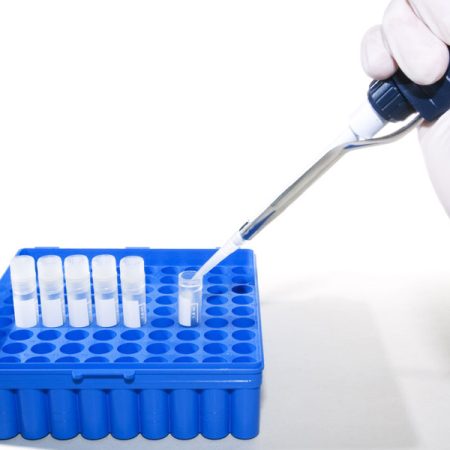 prueba-de-adn-mitocondrial