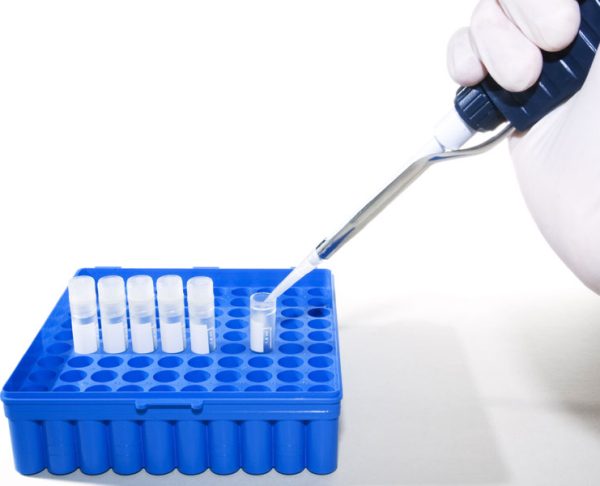 prueba-de-adn-mitocondrial
